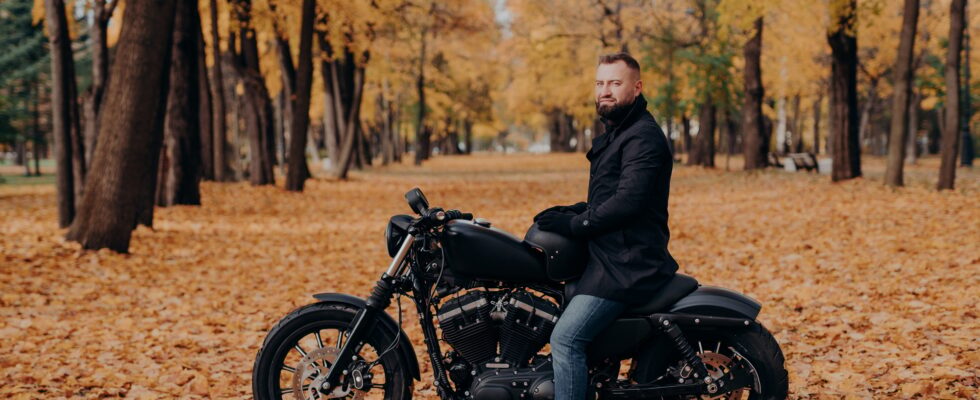 Biker with thick beard, wears protective gloves, black coat and jeans, poses on motobike in park
