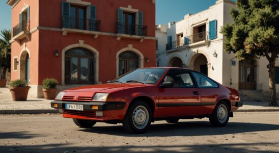 passionnés de la Renault Fuego